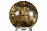 Colorful Oligocene Petrified Wood (Pinus) Sphere - Australia #330206-1